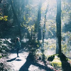 Meet your Posher, Malina